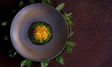 Essenza di calendula di Enrico Bellino, al ristorante Land: &egrave; un piatto che celebra la calendula in tutte le sue sfumature, esaltandone sia il valore officinale che la versatilit&agrave; gastronomica. Al centro, una base croccante di calendula fritta, la cui struttura viene esaltata dalla nota acidula della calendula in conserva. A ricoprirla, una spuma ottenuta dall&rsquo;infusione del suo estratto e dai suoi petali. Il tutto &egrave; adagiato su una salsa ricavata dalle foglie della pianta, con la sua nota erbacea e leggermente amara a bilanciare il piatto, quindi olio di calendula estremamente dolce e profumato, e una pioggia di petali freschi
