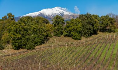 La cima dell'Etna innevata
