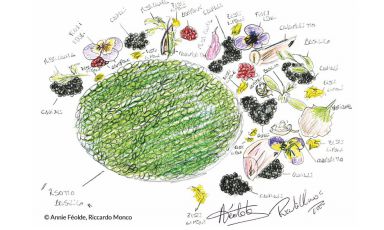 Il piatto di Annie Féolde e Riccardo Monco di Enoteca Pinchiorri di Firenze. È uno dei quaranta disegni d'autore che compongono il prezioso apparato icpnografico di Chef's Design, nuovo libro di Francesca Tagliabue
