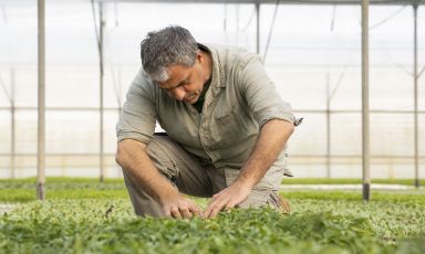 Angelo Giordano, agronomo e seedkeeper di Borgo Egnazia, lo splendido resort di lusso a Savelletri di Fasano in provincia di Brindisi
