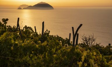 Magia pura: un tramonto e le vigne che danno dritte sul mare. È questa la sostanza di Eolia
