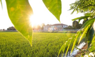 In una vecchia cascina del '500 vive oggi la nuova storia de La Bettolina, a Gaggiano, Milano
