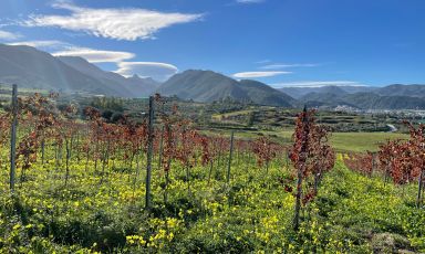 Oltre i Nebrodi, l'Etna e tutta la bellezza del territorio messinese
