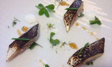 Roasted mackerel with red garlic sauce, acid emuls