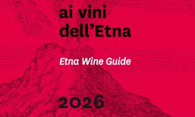 La copertina della&nbsp;Guida ai vini dell&rsquo;Etna 2026, pubblicazione giunta alla decima edizione ed edita dal giornale online di enogastronomia Cronache di Gusto
