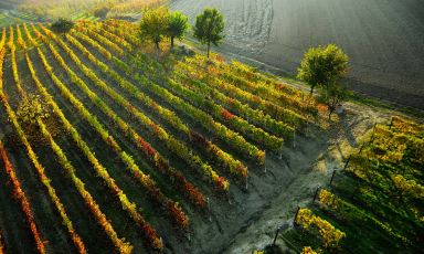 La bellezza del Monferrato: affascinanti paesaggi si sposano a buoni vini
