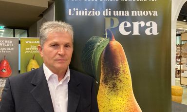 Giuliano Donati, Presidente del Consorzio di Tutela della Pera dell'Emilia Romagna IGP

