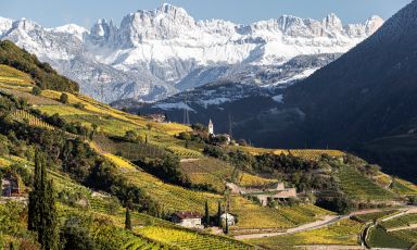 La superficie vitata dell'Alto Adige è pari a poco più di 5.500 ettari, distribuita nelle zone climatiche più disparate, su terreni diversi e a quote che variano fra 200 e più di 1.000 metri sul livello del mare. Qui uno scorcio di Santa Maddalena in Val di Funes
