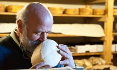 «L’affinatore è chi sceglie il prodotto migliore, lo segue nelle evoluzioni naturali o pilotate, cura il formaggio in ogni suo passaggio, ne conosce i segreti e lo sa proporre nel momento della sua massima espressione gustativa»: solo le parole con cui Renato Brancaleoni, affinatore e docente ALMA, racconta il suo lavoro. Sarà protagonista dell'incontro “Viaggio tra 55 DOP & IGP italiane. Alla scoperta del mondo del formaggio”, seconda masterclass del corso “Il Ristorante del Futuro”, organizzato in collaborazione da Identità Golose e dalla Scuola Internazionale di Cucina Italiana ALMA. Con lui il professor Davide Mondin, coordinatore del progetto ALMA Caseus, lo chef e patron di Miramonti l’altro Philippe Léveillé, Giovanni Guffanti dell’azienda Luigi Guffanti, dal 1876 affinatori di formaggi italiani ed esteri, e Massimo Raugi, Restaurant manager di Villa Crespi
