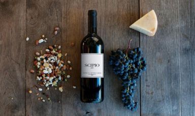 Scipio, il&nbsp;Cabernet Franc in purezza di Tenuta Sette Cieli, vigneti a Monteverdi Marittimo (Livorno)
