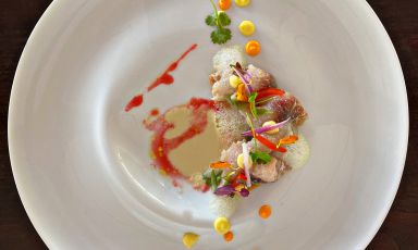 Ceviche di Cefalo su caponata napoletana: il piatto dell'estate di Fumiko Sakai
