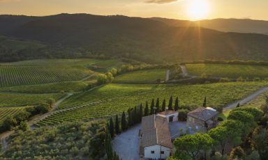 Pinino &egrave; un'azienda storica di Montalcino, nata nel 1874. Ora il nuovo corso con il cambio di propriet&agrave; alla famiglia che fa capo a Ferruccio Ferragamo, gi&agrave; proprietario del Borro
