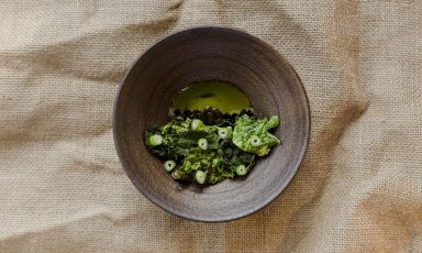 Chawanmushi di foglie e gambi di finocchio, semi di zucca e foglie di broccoli di Chiara Pavan e Francesco Brutto, chef di Venissa a Mazzorbo, laguna di Venezia. Chiara sarà sul palco di Identità Milano sabato 9 marzo (ore 11.50) con Manuel Agnelli per un talk sulla disobbedienza e con Francesco Brutto e il siciliano Davide Guidara lunedì 11 marzo (ore 15.05)
