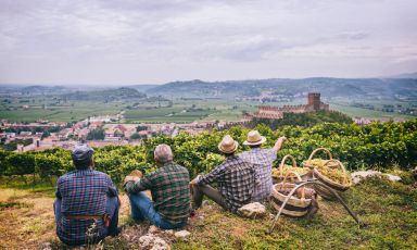 Soave e i suoi vigneti, in provincia di Verona
