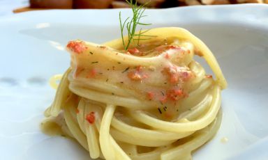 Lo splendido piatto di Spaghetti con limoni di mare e finocchietto che chi scrive ha degustato al Bikini di Vico Equense. E' stata anche una buona occasione per parlare di questo tunicato dalle caratteristiche particolari, molto diffuso nelle acque antistanti la Penisola Sorrentina, eppure poco utilizzato. Foto Tanio Liotta
