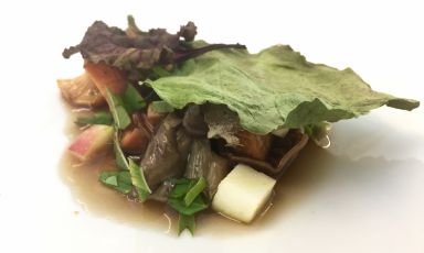 Come un bosco d'autunno, piatto a base di funghi, mela, bieta ed erbe che ben ha rappresentato a Taormina Gourmet le nuove tendenze gastronomiche nel Meridione. Il suo autore è Antonio Biafora, giovane ma già sulla nostra Guida Identità Golose, leggi qui
