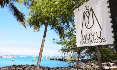 Muyu è un progetto di grande valenza sociale che anima l'isola di San Cristobal, alle Galapagos, Ecuador. La crisi del Covid-19 è una minaccia per la comunità. Fai una donazione per sostenerla (le foto sono di Paulo Rivas Peña)
