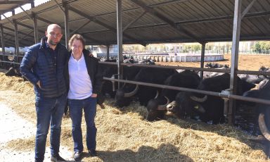 Jacques Genin (a destra) con Raffaele Barlotti davanti alle bufale dell'allevamento di quest'ultimo, a Paestum. Genin è stato tra i relatori a Le Strade della Mozzarella