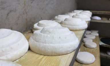 Forme di Montébore stagionano alla Cascina Nerchi, nel Comune di Dernice (Montébore ne è una frazione), provincia di Alessandria. Questo formaggio fino a vent'anni fa era del tutto scomparso, ora è rinato: una storia tutta da raccontare
