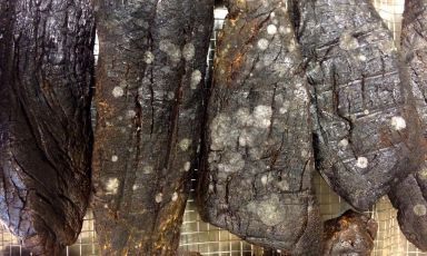 Il katsuobushi di vitello di Giuseppe Iannotti: lo chef se n'è servito per preparare uno splendido brodo. Nella foto, i pezzi di carne già essiccati e affumicati presentano le prime muffe in superficie