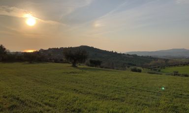 Le colline del Teramano che affacciano sul mare e guardano dritto alle montagne in prossimità, il Gran Sasso. È la vista che si ammira dall'azienda agricola Podere Colle San Massimo e B&B L'orso e l'ape, in Via Colle San Massimo, 16, a Giulianova (Teramo)
