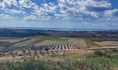 Menfi e le sue caratteristiche: vigne, ulivi e mare
