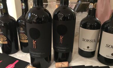 Al centro,&nbsp;Verso Sera l'ultimo nato della cantina marchigiana&nbsp;Velenosi
