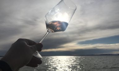 Quale futuro per il Chiaretto? L'Anteprima che si &egrave; svolta a Lazise ha permesso vari ragionamenti su questo vino
