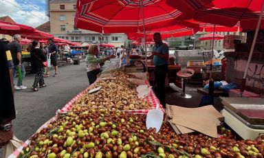 Infinite distese di giuggiole al marcato centrale a cielo aperto Dolac market. Sulle bancarelle anche formaggi freschi, liquori e pane appena sfornato. Tutte le foto: Annalisa Cavaleri
