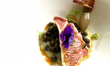 Seared mullet filet on a warm salad of organic 