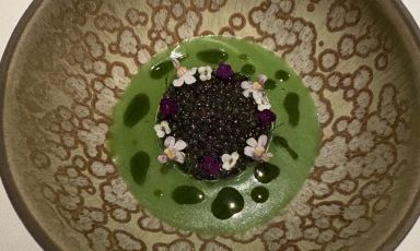 Anguilla, zuppa di erbe selvatiche, mela e caviale&nbsp;di&nbsp;Riccardo Bacciottini
