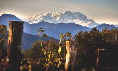 Il Monte Rosa e in basso i vigneti della cantina Torraccia del Piantavigna, a Ghemme (Novara) nell'Alto Piemonte
