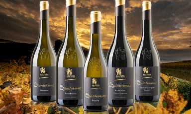 La linea Quintessenz è la punta di diamante della produzione di Cantina di Caldaro
