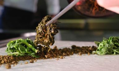 Lumache nella loro terra è il Piatto della bella stagione di Elvis Pilati, chef del ristorante Milleluci, a Lusiana Conco (Vicenza)
