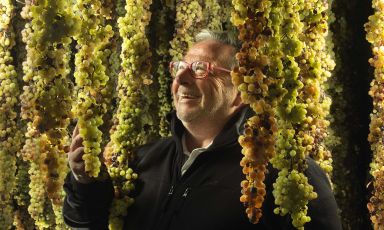 Fausto Maculan in mezzo ai grappoli di Vespaiola in appassimento
