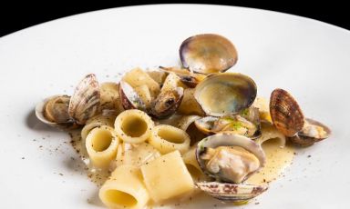 Paolo Sanvitale: mezze maniche di Lunigiana