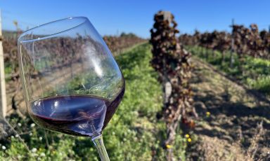 Alla ricerca della vera essenza del Nero d'Avola, superando stereotipi e pregiudizi: è questa una delle missioni del Consorzio Tutela Vini Doc Sicilia
