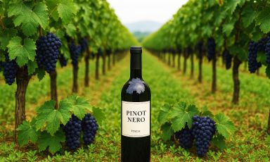 Viaggio alla scoperta del Pinot Nero, non solo in Italia
