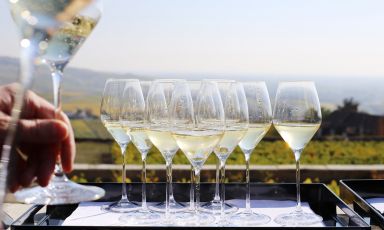 Degustazione di Champagne con vista sui vigneti
