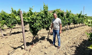 Antonio Tonnino in mezzo ai vigneti di Alcamo
