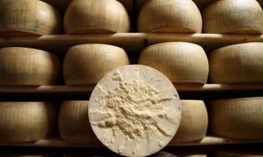 The partnership between Identità Golose and Consorzio del Parmigiano Reggiano continues, for the fourth time together at the Congress with Identità di Formaggio
