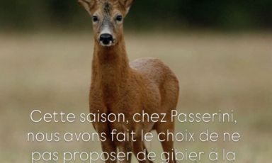 L'annuncio di Giovanni Passerini su Instagram
