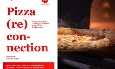 La copertina di Pizza (Re)connection, sottotitolo Visioni futuristiche e strategie innovative per pizzaioli ultramoderni 
