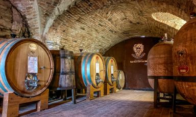 La cantina storica di Poderi Luigi Einuadi: dopo 125 si guarda al futuro
