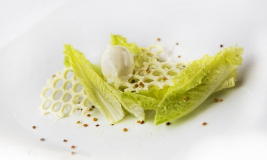 Cuori di lattuga, gelato al miele, ganache al cioccolato bianco, polline ed extravergine del Garda: un "quasi dolce" di Andrea Costantini, chef del Regio Patio all'hotel Regina Adelaide di Garda (Verona). Questo articolo è tratto da Identità Dolce, la nuova newsletter di Identità Golose. Per riceverla regolarmente e gratuitamente, iscriversi qui
