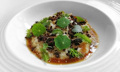 Quasi un riso in cagnone, sedano rapa, pino mugo e cardoncello: il piatto dell'inverno di Giacomo Lovato
