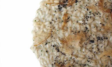 Risotto di gò, alga nori e katsuobushi è il piatto 2017 proposto a Identità Golose da Matteo Tagliapietra, chef del Local di Venezia
