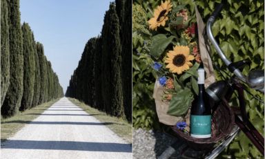 Ca' Bolani dà la possibilità agli ospiti di scoprire la cultura vitivinicola locale attraverso un percorso naturale, storico e culturale che parte dalla vigna per arrivare ai processi di vinificazione e di affinamento e si completa con la degustazione dei vini della tenuta
