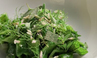 La Pasta col nostro raccolto è il Piatto della bella stagione di Daniele Citeroni Maurizi, chef dell'Osteria Ophis a Offida (Ascoli Piceno)

