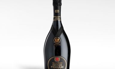 L'annata 2007 del Giulio Ferrari Collezione
